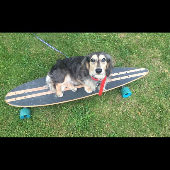 Meet your Posher, Rachel - Picture 2 of 2